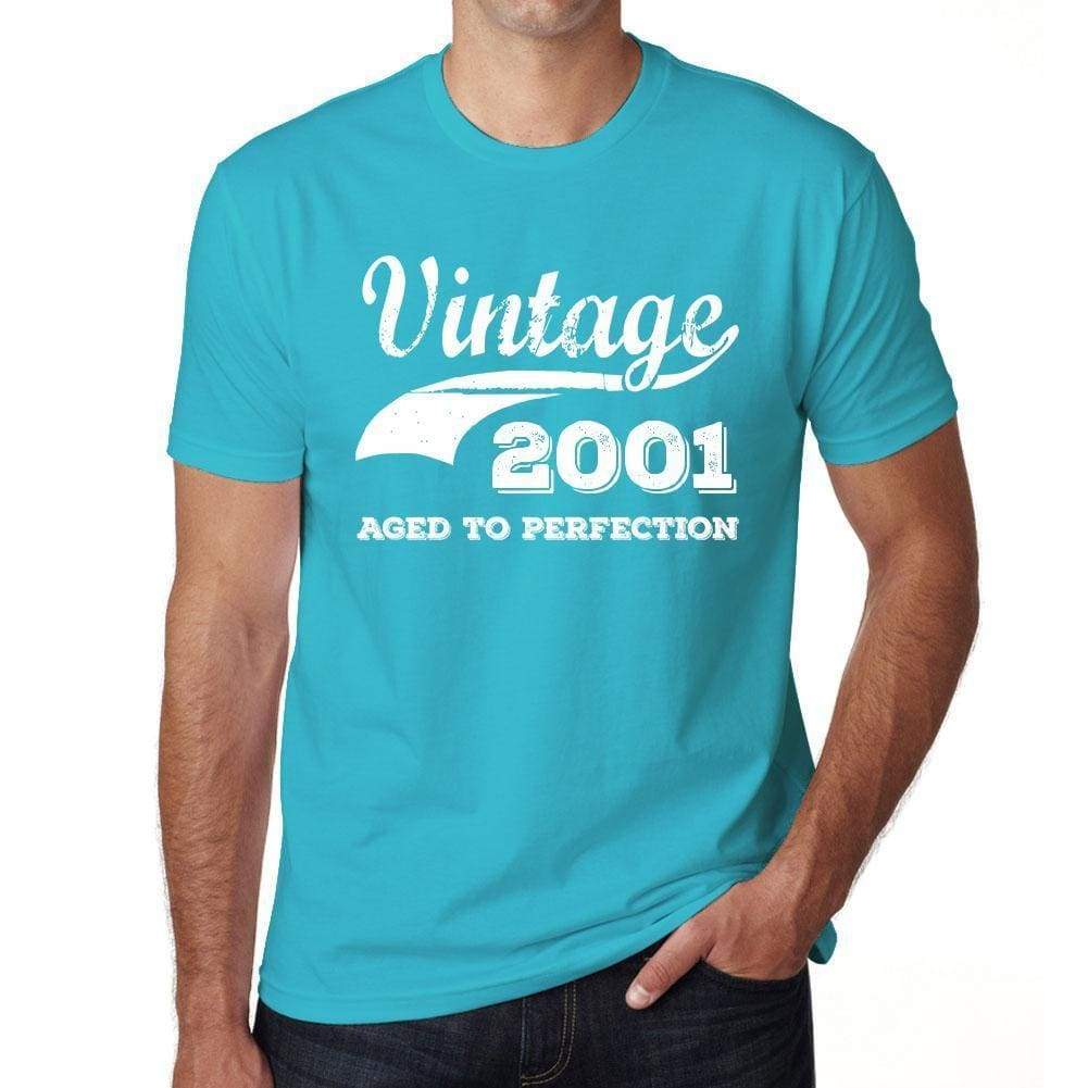 2001 Vintage Aged To Perfection Blue Mens Short Sleeve Round Neck T-Shirt 00291 - Blue / S - Casual