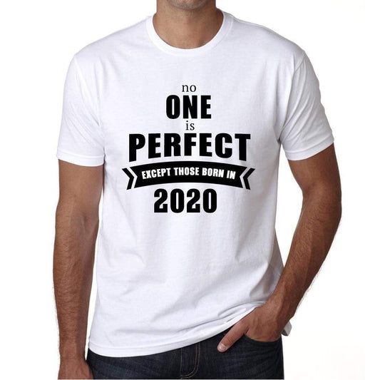 2020 No One Is Perfect White Mens Short Sleeve Round Neck T-Shirt 00093 - White / S - Casual