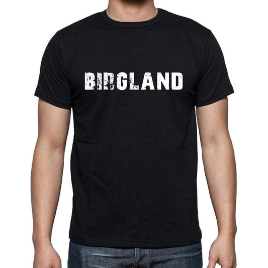 Birgland Mens Short Sleeve Round Neck T-Shirt 00003 - Casual