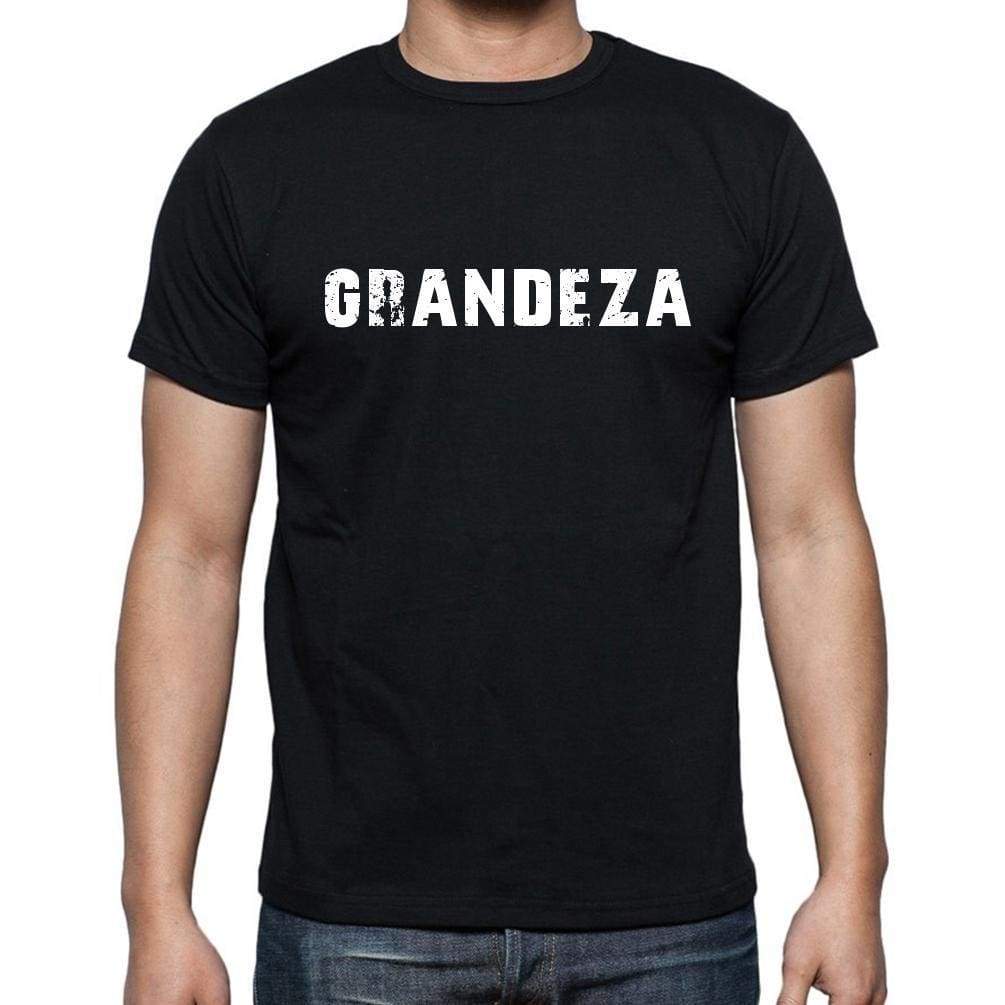 Grandeza Mens Short Sleeve Round Neck T-Shirt - Casual