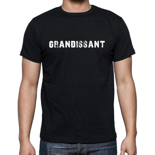 Grandissant French Dictionary Mens Short Sleeve Round Neck T-Shirt 00009 - Casual