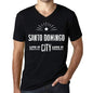 Mens Vintage Tee Shirt Graphic V-Neck T Shirt Live It Love It Santo Domingo Deep Black - Black / S / Cotton - T-Shirt