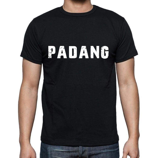 Padang Mens Short Sleeve Round Neck T-Shirt 00004 - Casual