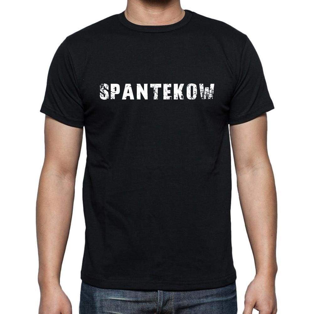 Spantekow Mens Short Sleeve Round Neck T-Shirt 00003 - Casual