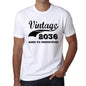 Vintage Aged To Perfection 2036 White Mens Short Sleeve Round Neck T-Shirt Gift T-Shirt 00342 - White / S - Casual