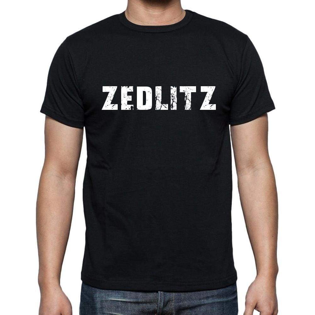 Zedlitz Mens Short Sleeve Round Neck T-Shirt 00003 - Casual